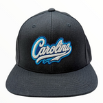 The Ode Carolina Wave