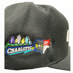 The Ode Carolina Tour Snapback