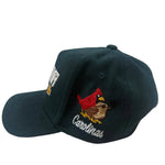 THE ODE CAROLINA 16 YEAR ANNIVERSARY CORDUROY  SNAPBACK- GREEN