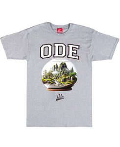 The ODE Globe (Vivarium) Grey T-Shirt